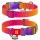 Collar WauDog Recycled Obroża nylonowa z QR-paszportem, gradient L 25mm/33-49cm pomarańczowy