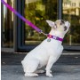 Collar WauDog Recycled Smycz nylonowa, gradient M 20mm/122cm fioletowy - 4