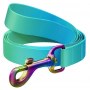 Collar WauDog Recycled Smycz nylonowa, gradient M 20mm/122cm niebieski - 2