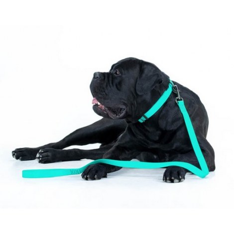 Collar WauDog Waterproof Smycz wodoodporna akumulująca światło M 20mm/183cm - 6