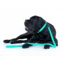 Collar WauDog Waterproof Smycz wodoodporna akumulująca światło M 20mm/183cm - 7