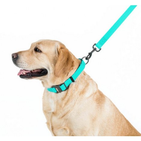 Collar WauDog Waterproof Obroża wodoodporna z QR-paszportem, akumulująca światło, plastikowy fastex, 25mm/34-49cm - 5