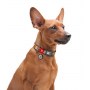 Collar WauDog Nylon Obroża nylonowa z QR-paszportem, plastikowy fastex, wzór AWOKADO NA RÓŻU, M 20mm/28-40cm - 5
