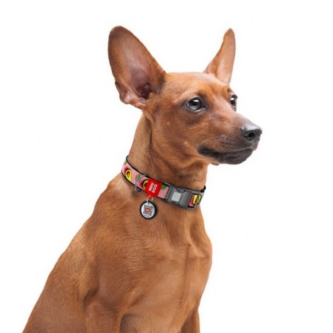 Collar WauDog Nylon Obroża nylonowa z QR-paszportem, plastikowy fastex, wzór AWOKADO NA RÓŻU, S 15mm/25-35cm - 4