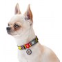 Collar WauDog Nylon Obroża nylonowa z QR-paszportem, plastikowy fastex, wzór FUTRZANE POTWORY, L 25mm/33-49cm - 4