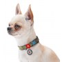 Collar WauDog Nylon Obroża nylonowa z QR-paszportem, plastikowy fastex, wzór MILITARY, M 20mm/28-40cm - 4
