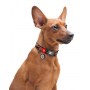 Collar WauDog Nylon Obroża nylonowa z QR-paszportem, plastikowy fastex, wzór ZĘBATE POTWORY, M 20mm/28-40cm - 5
