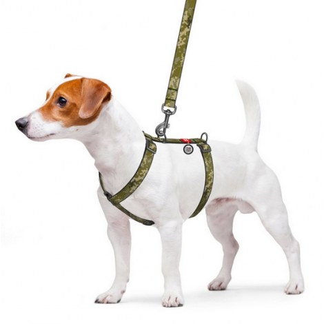 Collar WauDog Nylon Szelki nylonowe anatomiczne w kształcie litery H, z QR-paszportem, plastikowy fastex, wzór MILITARY, rozmiar M 20mm - 3