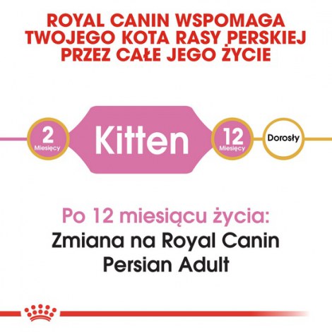 Royal Canin Persian Kitten karma sucha dla kociąt do 12 miesiąca życia rasy perskiej 2kg - 4