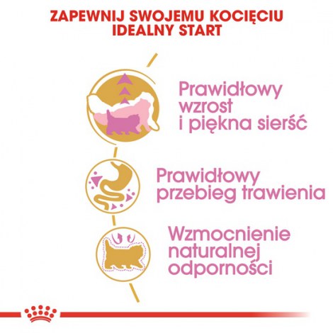 Royal Canin Persian Kitten karma sucha dla kociąt do 12 miesiąca życia rasy perskiej 2kg - 5