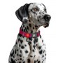 Collar WauDog Nylon Mono Obroża nylonowa odblaskowa z QR-paszportem, plastikowy fastex, S 15mm/25-35cm różowa - 4