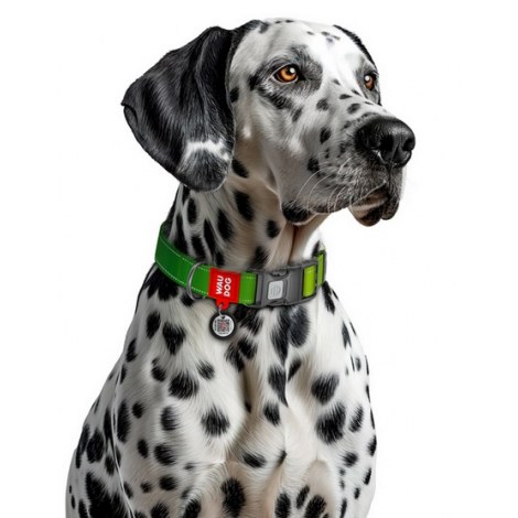 Collar WauDog Nylon Mono Obroża nylonowa odblaskowa z QR-paszportem, plastikowy fastex, M 20mm/28-40cm jasnozielona - 3