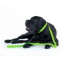 Collar Waterproof Smycz wodoodporna L-XXL 25mm/183cm jasnozielona - 5