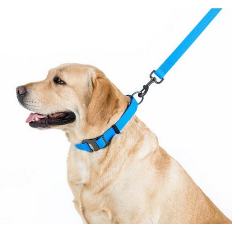 Collar Waterproof Smycz wodoodporna L-XXL 25mm/183cm niebieska - 3
