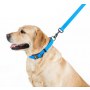 Collar Waterproof Smycz wodoodporna L-XXL 25mm/183cm niebieska - 4