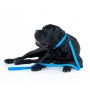 Collar Waterproof Smycz wodoodporna L-XXL 25mm/183cm niebieska - 5