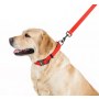 Collar Waterproof Smycz wodoodporna M 20mm/183cm czerwona - 4