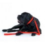 Collar Waterproof Smycz wodoodporna M 20mm/183cm czerwona - 5