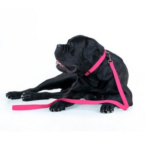 Collar Waterproof Smycz wodoodporna S 15mm/183cm różowa - 4