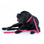 Collar Waterproof Smycz wodoodporna S 15mm/183cm różowa - 5