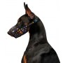 Collar WauDog Nylon Kaganiec, plastikowy fastex, wzór NASA, rozmiar 2 [19-26cm] - 4