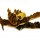 Yoopi Dog Trawieniec 100g