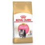 Royal Canin Persian Kitten karma sucha dla kociąt do 12 miesiąca życia rasy perskiej 400g - 3