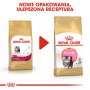 Royal Canin Persian Kitten karma sucha dla kociąt do 12 miesiąca życia rasy perskiej 400g - 4