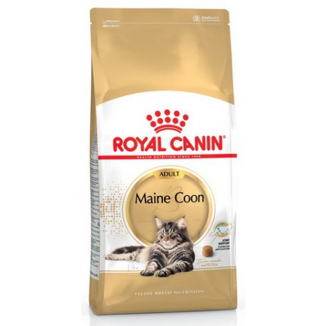Royal Canin Maine Coon Adult karma sucha dla kotów dorosłych rasy maine coon 2kg - 2