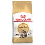 Royal Canin Maine Coon Adult karma sucha dla kotów dorosłych rasy maine coon 2kg - 3