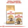 Royal Canin Maine Coon Adult karma sucha dla kotów dorosłych rasy maine coon 2kg - 6