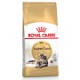 Royal Canin Maine Coon Adult karma sucha dla kotów dorosłych rasy maine coon 4kg - 3