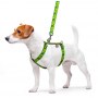 Collar WauDog Nylon Szelki nylonowe anatomiczne w kształcie litery H, z QR-paszportem, plastikowy fastex, wzór AWOKADO, rozmiar M 20mm - 4