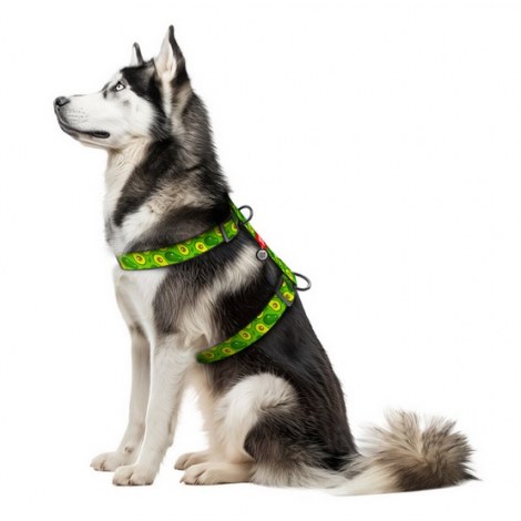 Collar WauDog Nylon Szelki nylonowe anatomiczne w kształcie litery H, z QR-paszportem, plastikowy fastex, wzór AWOKADO, rozmiar XL 35mm - 3