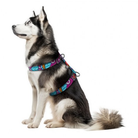 Collar WauDog Nylon Szelki nylonowe anatomiczne w kształcie litery H, z QR-paszportem, plastikowy fastex, wzór LATO, rozmiar XL 35mm - 3