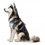 Collar WauDog Nylon Szelki nylonowe anatomiczne w kształcie litery H, z QR-paszportem, plastikowy fastex, wzór LATO, rozmiar XL 35mm - 4