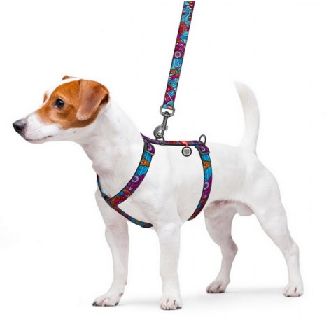 Collar WauDog Nylon Szelki nylonowe anatomiczne w kształcie litery H, z QR-paszportem, plastikowy fastex, wzór LATO, rozmiar M 20mm - 3