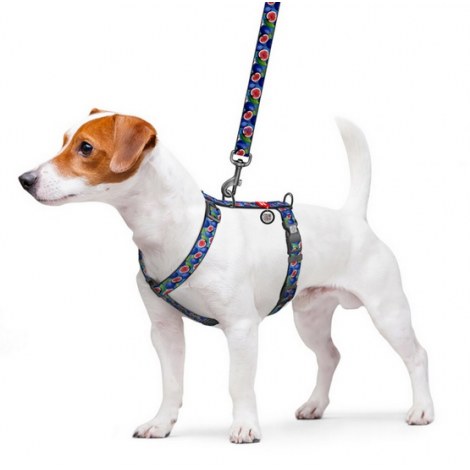 Collar WauDog Nylon Szelki nylonowe anatomiczne w kształcie litery H, z QR-paszportem, plastikowy fastex, wzór FIGA, rozmiar M 20mm - 3