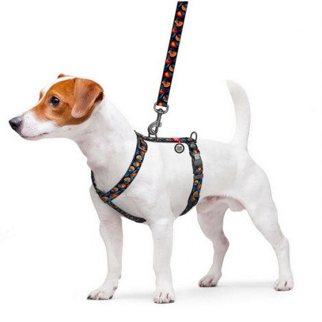 Collar WauDog Nylon Szelki nylonowe anatomiczne w kształcie litery H, z QR-paszportem, plastikowy fastex, wzór POMARAŃCZE, rozmiar M 20mm - 3