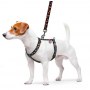 Collar WauDog Nylon Szelki nylonowe anatomiczne w kształcie litery H, z QR-paszportem, plastikowy fastex, wzór POMARAŃCZE, rozmiar S 15mm - 4