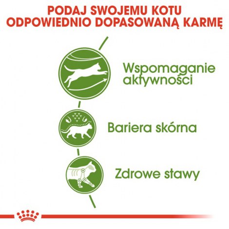 Royal Canin Outdoor karma sucha dla kotów dorosłych, wychodzących na zewnątrz 10kg - 5