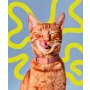 Amanova Cat Creamy Treats Ocean Blend Tuna & Salmon - tuńczyk i łosoś 6x15g - 5