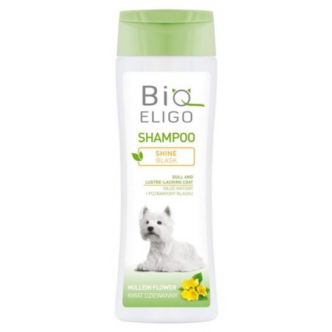 DermaPharm BioEligo Blask szampon dla sierści matowej 250ml