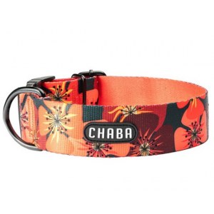 CHABA Obroża regulowana Bull Story IV L/XL Opium
