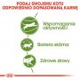 Royal Canin Outdoor karma sucha dla kotów dorosłych, wychodzących na zewnątrz 2kg - 6