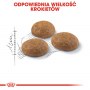 Royal Canin Outdoor karma sucha dla kotów dorosłych, wychodzących na zewnątrz 2kg - 7