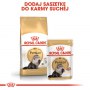 Royal Canin Persian Adult karma sucha dla kotów dorosłych rasy perskiej 400g - 6