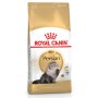 Royal Canin Persian Adult karma sucha dla kotów dorosłych rasy perskiej 400g - 3