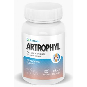 Artrophyl 30tabl. - układ ruchu