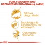 Royal Canin Persian Adult karma sucha dla kotów dorosłych rasy perskiej 4kg - 5